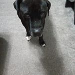 Profile Picture of ryan watton (@watton993) on Instagram