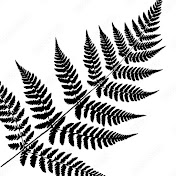 Profile Picture of Fern Peck (@fernpeck) on Youtube
