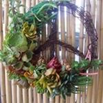 Profile Picture of Cheryl Edmonds (@cledmonds55) on Instagram