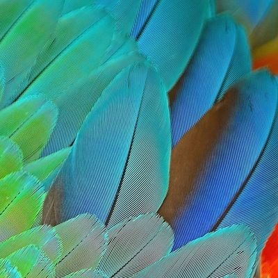 Loo Chin Woon - Twitter Profile Picture of Loo Chin Woon (@jingwenloo80) on Twitter