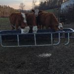 Profile Picture of Nathan Sizemore (@natesizemore21) on Instagram