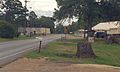 Profile Picture of Thaxton, Mississippi - Wikipediaon Wikipedia