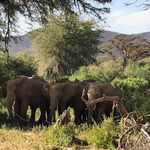 Profile Picture of Joe Mc Adams (@joe.mcadams.79) on Instagram