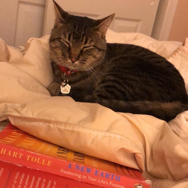 Billy Tilden - Tiktok Profile Picture of Billy Tilden (@bltilden9411) on Tiktok