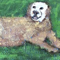 Profile Picture of Bobby Talbot (@bobby-talbot-6) on Quora