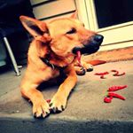 Profile Picture of Toby Adams (@tadams492) on Instagram