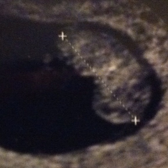 Profile Picture of Ashlee Conklin (@aconklin07) on Poshmark