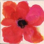 Profile Picture of Sean Michael Byrne BA MA (@seanmichaelbyrne) on Instagram