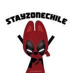 Profile Picture of Stay Zone Chile (@stayzonechile) on Instagram