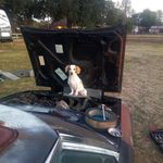 Profile Picture of Caleb Hutson (@hutson_tuning) on Instagram