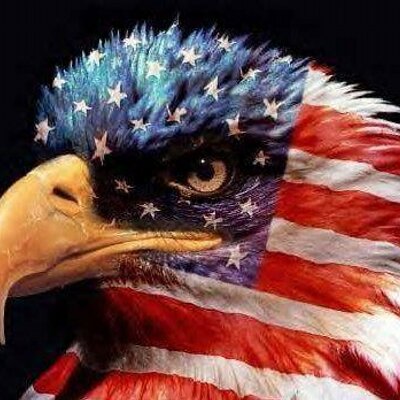 Profile Picture of M. A. Hart (@Mark_Hart55) on Twitter