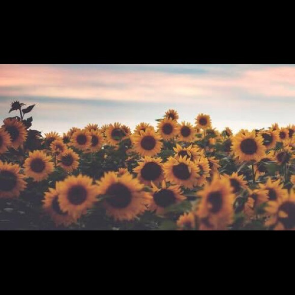 Tanya Serrano - Poshmark Profile Picture of Tanya Serrano (@tnysmm_) on Poshmark