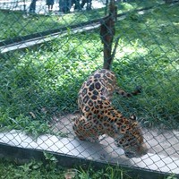 Profile Picture of David Ferreiro (@david-ferreiro) on Quora