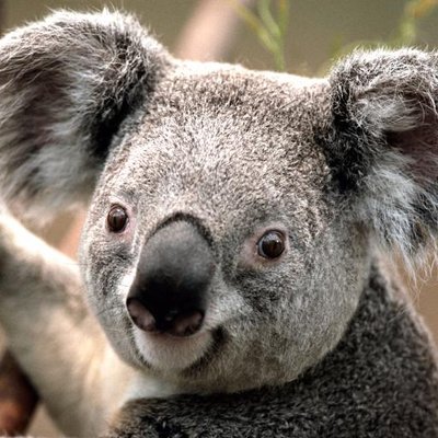 Profile Picture of Robert (@robertcapra94) on Twitter