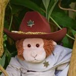Profile Picture of The Bears of the Law (@davidhowey2018) on Instagram