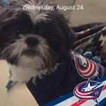 Profile Picture of David Nead (@davidnead) on Instagram