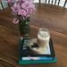 Profile Picture of sunny nguyen (@chnhuy) on Pinterest