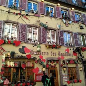 Profile Picture of Limor Cohen (@Limlimor1) on Twitter