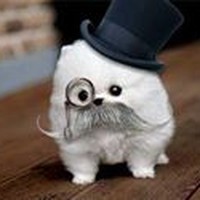 Profile Picture of David Zee (@david-zee-6) on Quora