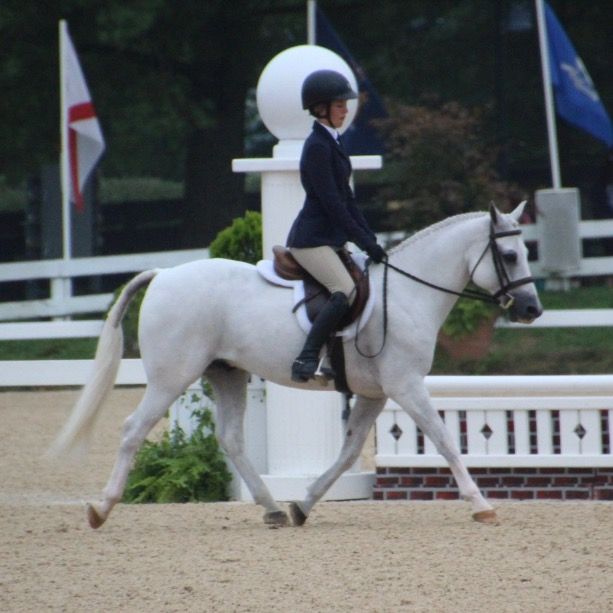 Hattie Vanbuskirk - Tiktok Profile Picture of Hattie Vanbuskirk (@hattievanbuskirk) on Tiktok