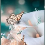 Profile Picture of Joy Heinz (@tafadzwa.kanyemba.3348) on Facebook