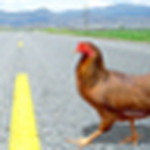 Profile Picture of Michael Kwan (@mkwan220669) on Flickr