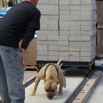 Profile Picture of Richard Rodgers (@rodgers0924) on Instagram