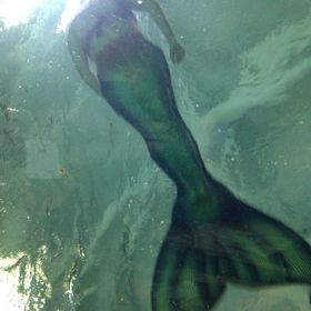 Profile Picture of Danielle Kimball (@snapturtle1) on Pinterest