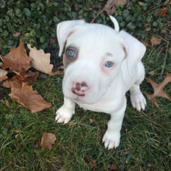 Profile Picture of Mary Rosengarten (@mrosengarten) on Poshmark