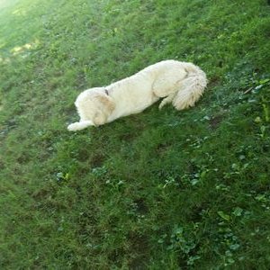 Scooter Mannix - Twitter Profile Picture of Scooter Mannix (@PatrickMannix4) on Twitter