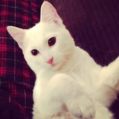 Tyler Thorne - Twitter Profile Picture of Tyler Thorne (@Thetylerthorne) on Twitter