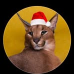 Profile Picture of Johnny Faster (@Johnny-Faster) on Facebook