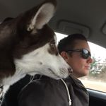 Profile Picture of Scott Cressman (@scottcressman1979) on Instagram