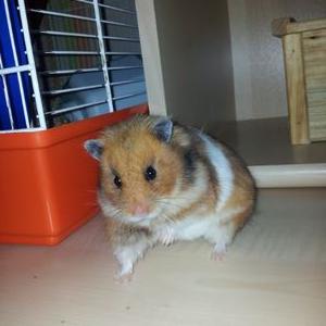 Lea Winkler - Twitter Profile Picture of Lea Winkler (@leawinkler28) on Twitter