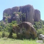 Profile Picture of Gerald king (@geraldking38) on Instagram