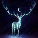 Profile Picture of Richard Jelen Jelínek (@jelen_cz) on Instagram