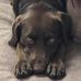 Profile Picture of Jerry Conklin (@jerry.conklin1) on Facebook