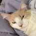 Profile Picture of David Harger (@david.harger.35) on Facebook