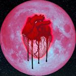 Profile Picture of ThOmAs BiRNeR (@_priv_thxmas_) on Instagram