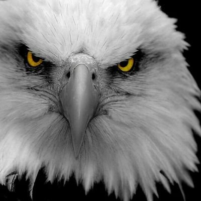 Profile Picture of William Klinger (@Williamklingers) on Twitter