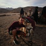 Profile Picture of David B (@davidbrintlev) on Instagram