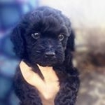 Profile Picture of Calvin Robertshov (@calmania_) on Instagram