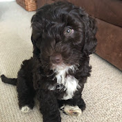 Profile Picture of Harry Bailey (@harrybailey6504) on Youtube