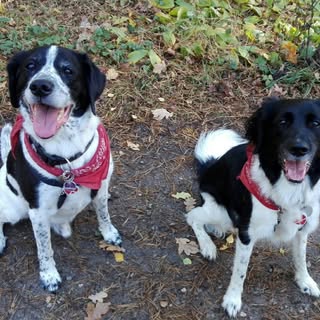 Profile Picture of Sylvia Cordes (@cordessylvia) on Instagram