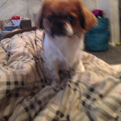 Profile Picture of Neil Macleod (@neilmacleod5712) on Youtube