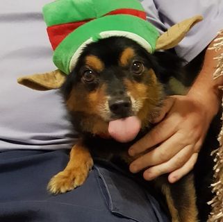 Profile Picture of Craig Mcguiness (@craig.mcguiness) on Facebook