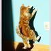 Profile Picture of Bag Sau (@monnony) on Pinterest