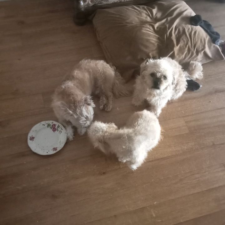 Profile Picture of David tassie (@david.tassie7) on Tiktok