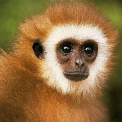 Profile Picture of Rigoberto Escobar (@rigosnet) on Twitter