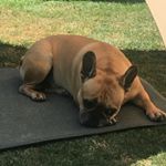 Profile Picture of Jessel Macarthur (@jessel978) on Instagram